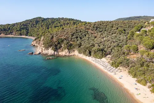 Banana Beach