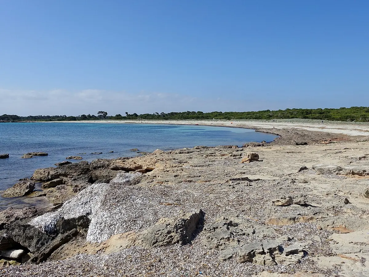 Es Caragol Beach, Ses Salines, Mallorca, Spain - quiet sandy beach with shallow turquoise water on the south coast