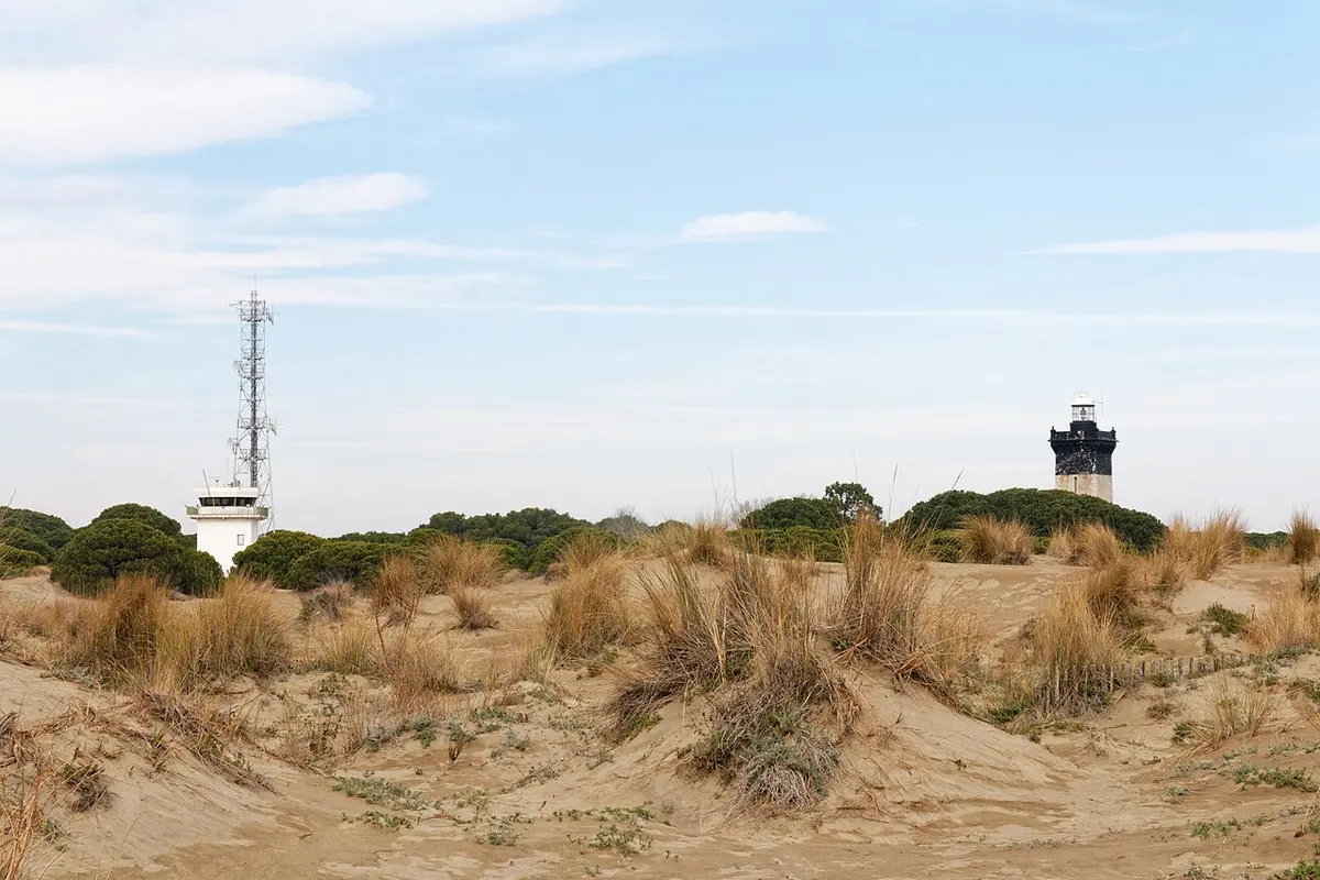 Espiguette Beach, Le Grau-du-Roi, Le Grau-du-Roi, Camargue, Occitanie - wide wild sand beach and dunes at the tip of the camargue