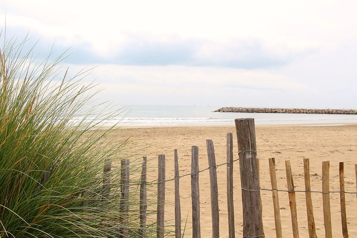Plage de La Grande-Motte, La Grande-Motte, Occitanie - long sand beach with fenced dunes