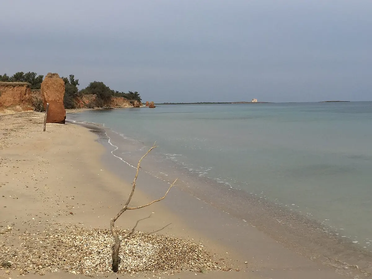 Torre Guaceto Beach, Carovigno, Puglia - protected nature reserve with long dune beaches