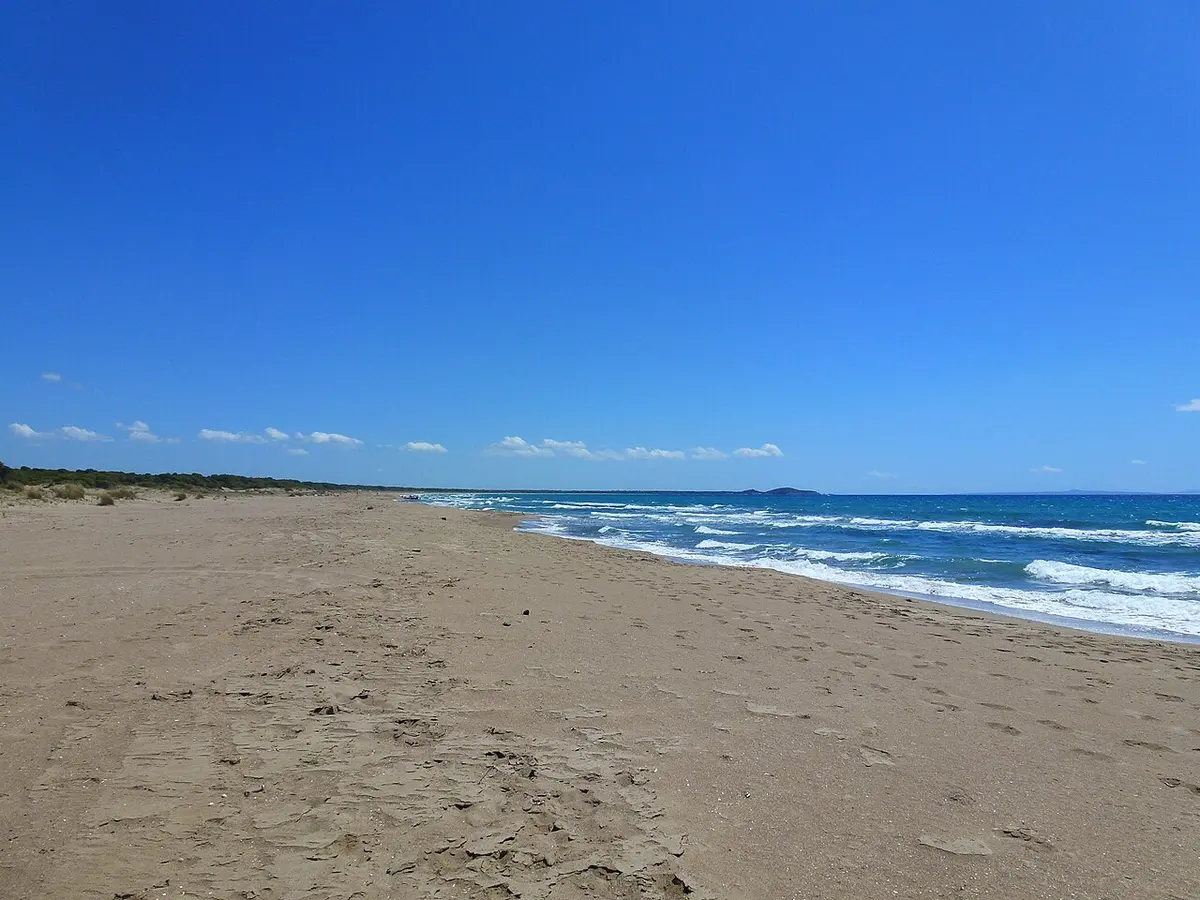 Kalogria Beach, Kalogria, Strofylia, Peloponnese - long sandy beach backed by pine forest and wetlands