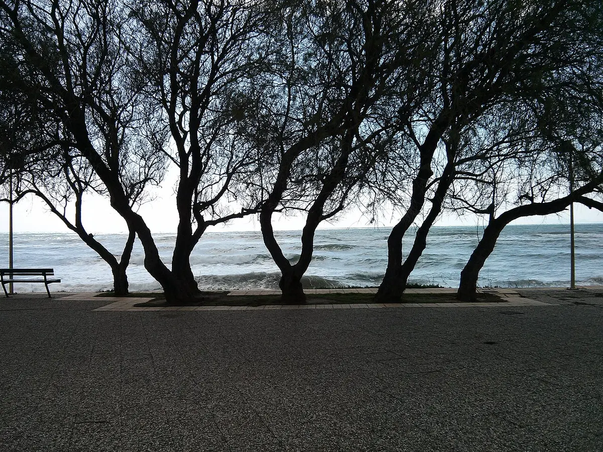 Kourouta Beach, Amaliada, Elis, Peloponnese, Greece - long sandy beach on the ionian coast of elis