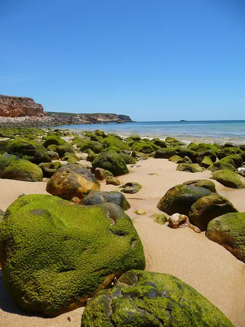 Praia do Martinhal, Sagres
