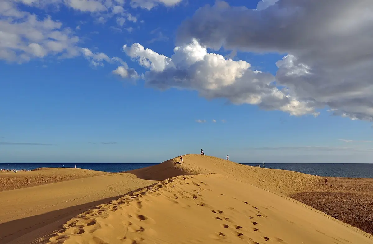 Maspalomas Dunes, Maspalomas, Gran Canaria - golden sahara-like dunes meeting the atlantic