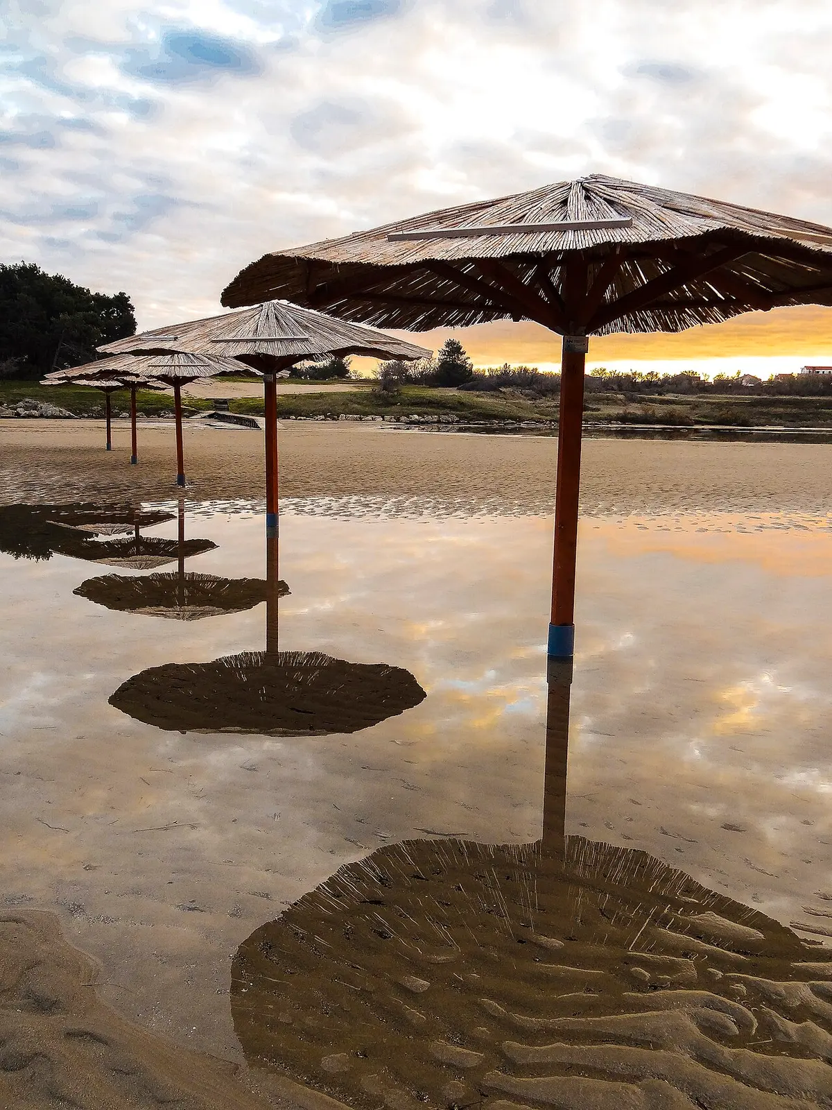 Nin Beach, Nin, Zadar County - shallow sandy lagoon beach with pine shade