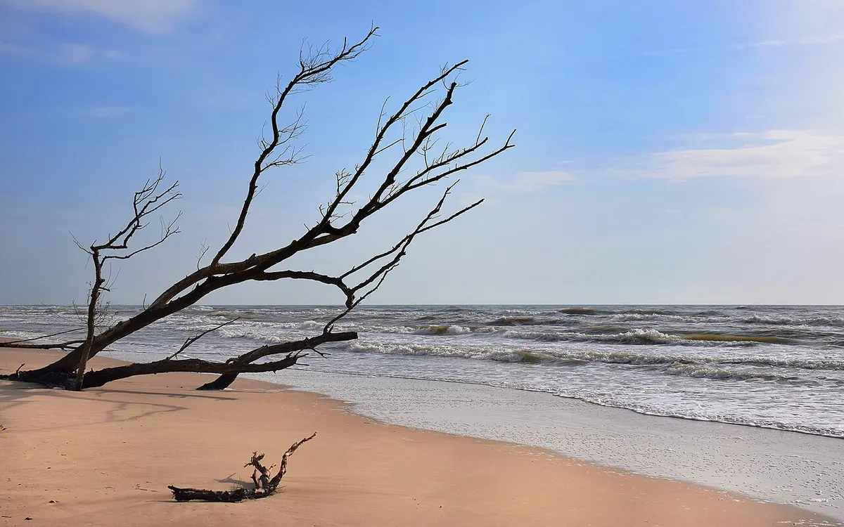 Plage de Piemanson, Salin-de-Giraud, Camargue - wild camargue dune beach at the rhone mouth