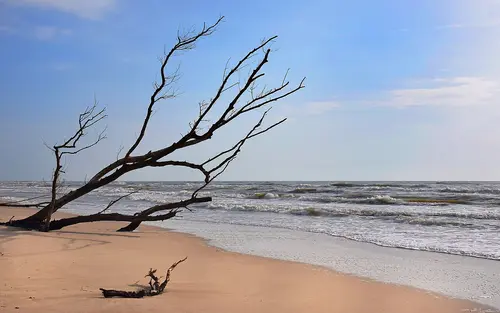 Plage de Piemanson