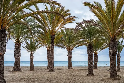 Playa de Levante, Santa Pola