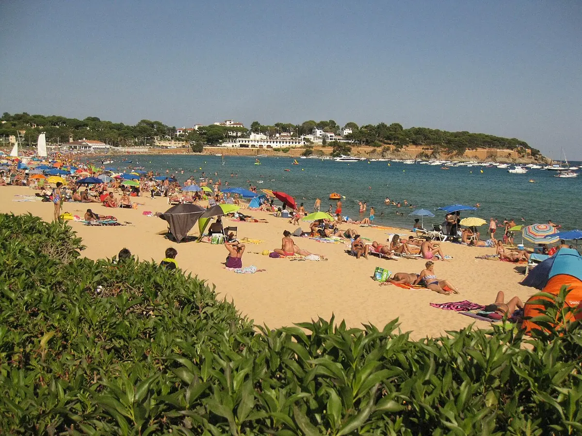 Platja de Sant Pol, Costa Brava, Sant Pol, Sant Feliu de Guixols, Costa Brava - wide golden bay between pine hills on the costa brava