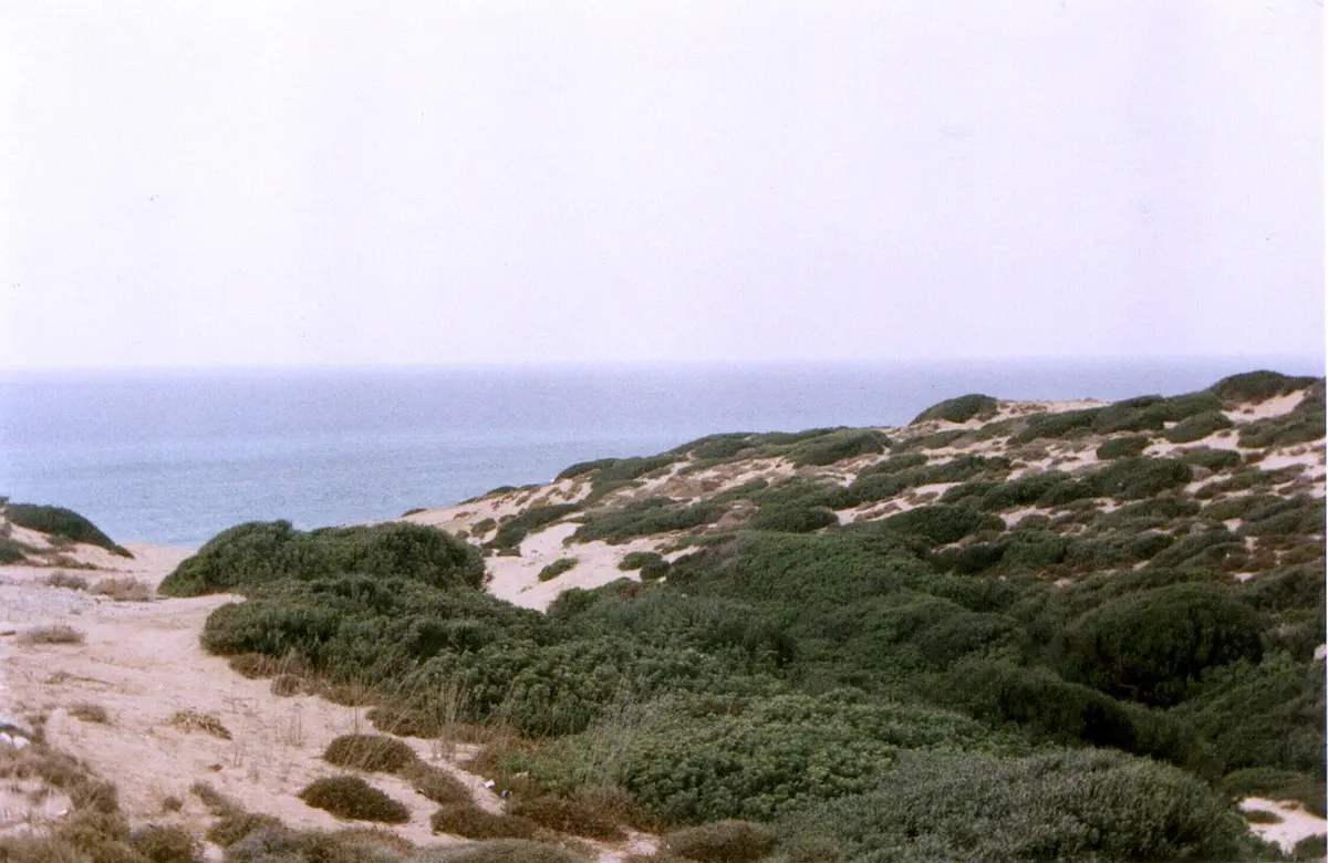 Scivu Beach, Sardinia, Scivu, Arbus, Costa Verde - wild golden dunes on the costa verde of sardinia