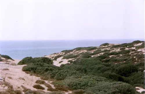 Scivu Beach, Sardinia