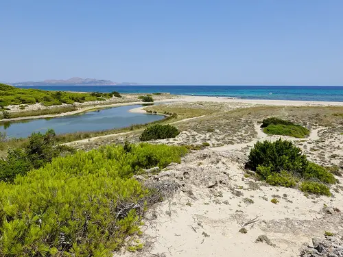 Platja de Son Real