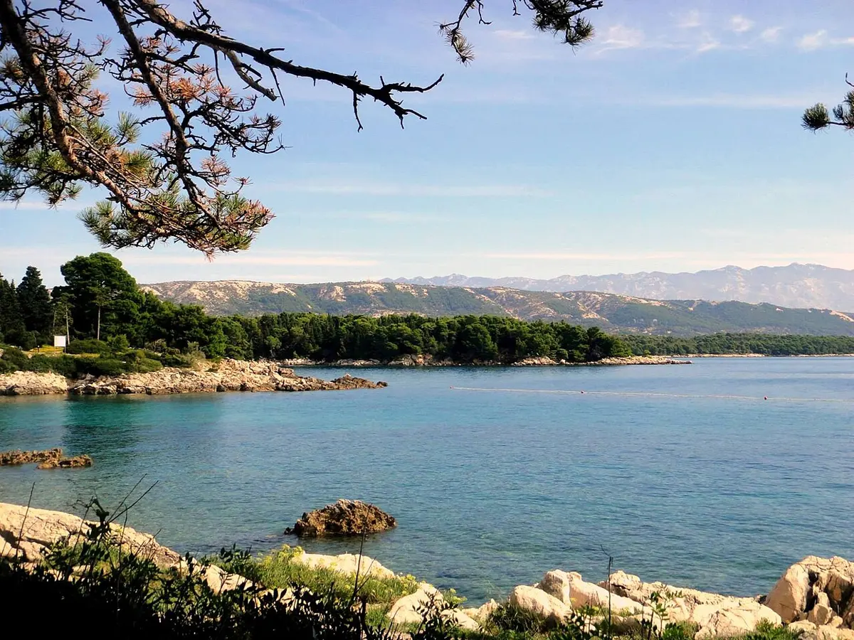 Suha Punta Beach, Rab, Suha Punta, Rab - pine-shaded rocky coast and swimming spots on rab