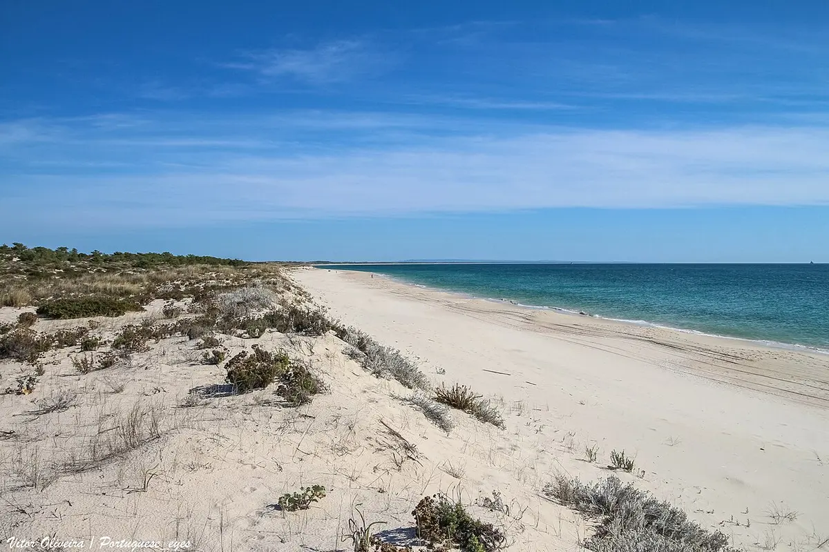 Praia Atlantica, Troia, Troia, Setubal - wild atlantic dunes on a long peninsula