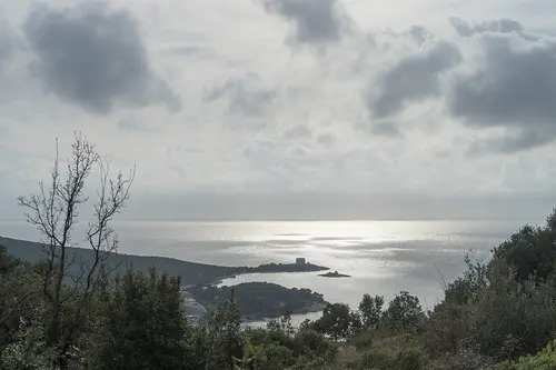 Zanjice Beach, Lustica